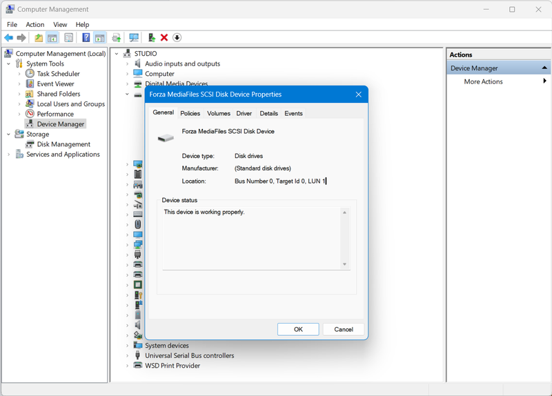File:ISCSI device in Windows Device Management.png